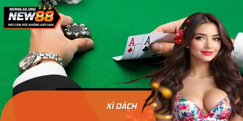 Thăng Hoa Cùng Xì Dách: Từng Quyết Định Nhỏ Mở Ra Cơ Hội Lớn