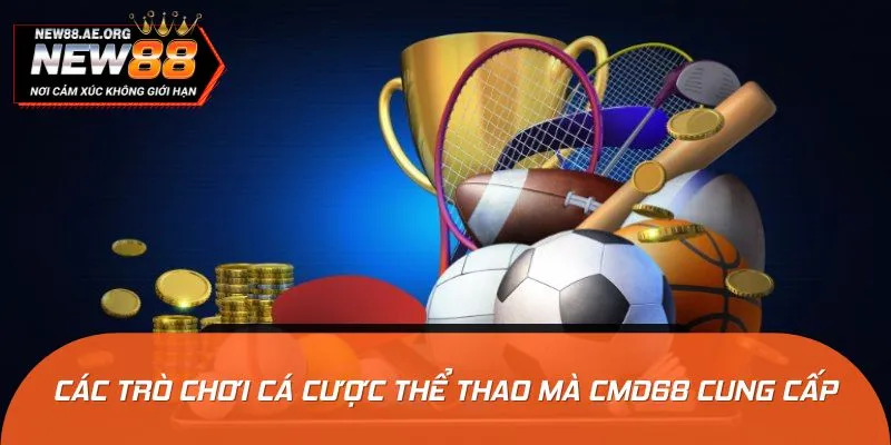 Tổng hợp các trò chơi cá cược thể thao được yêu thích hiện nay