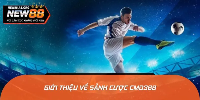 Cái nhìn tổng thể về sảnh thể thao CMD368