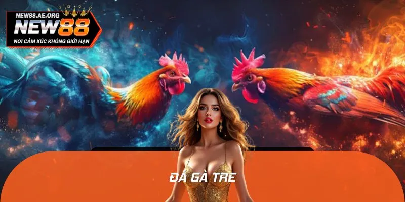 Khám Phá Nghệ Thuật Đá Gà Tre: Tốc Độ Và Chiến Lược Lên Ngôi