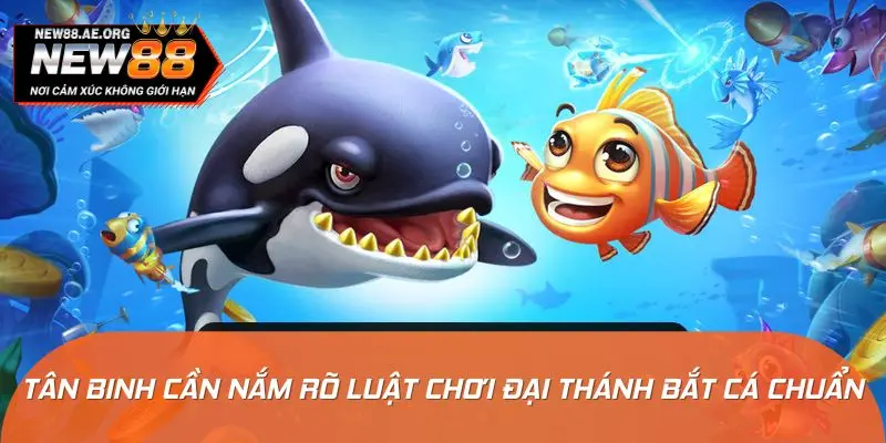 Tân binh cần nắm rõ luật chơi đại thánh bắt cá chuẩn xác