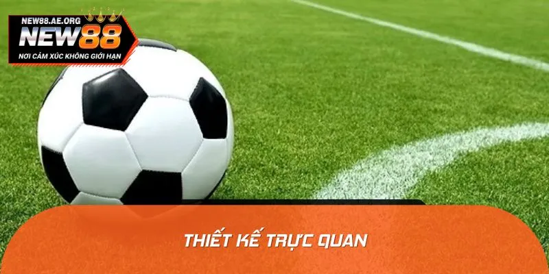 Giao diện được thiết kế tối ưu