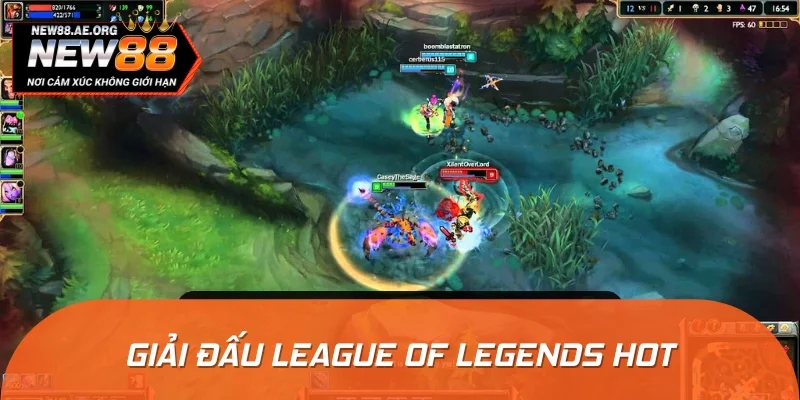 Tổng hợp một số giải đấu trong và ngoài nước