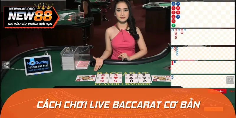 Hướng dẫn cách chơi Live Baccarat cơ bản cho người mới