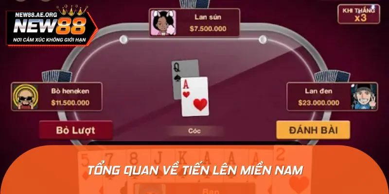 Sơ lược về Tiến lên miền Nam